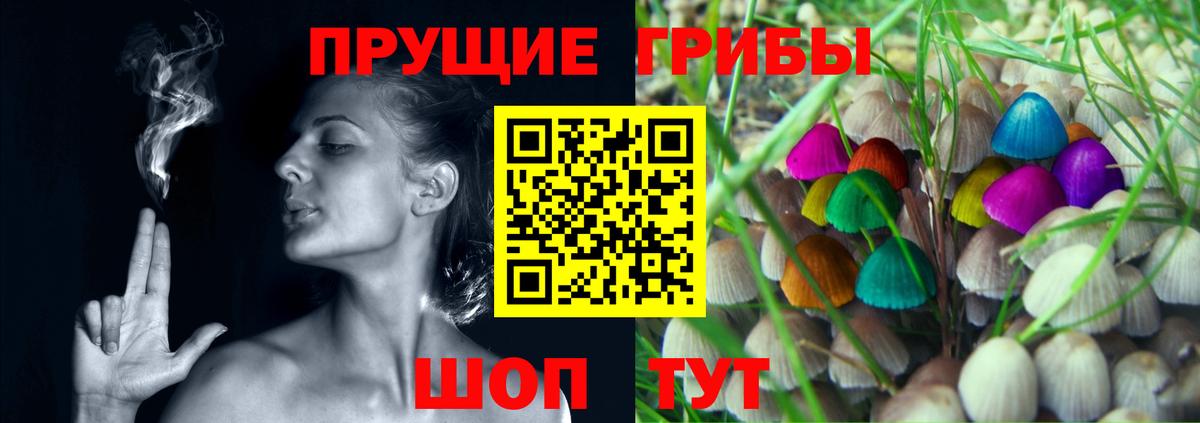 Галлюциногенные грибы MAGIC MUSHROOMS  Вход с VPN  Белово  Псилоцибиновые грибы мухоморы 